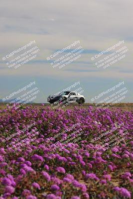 media/Jan-08-2023-SCCA SD (Sun) [[8f6a5b9391]]/Intermediate Group/Session 2 (Short Straight)/